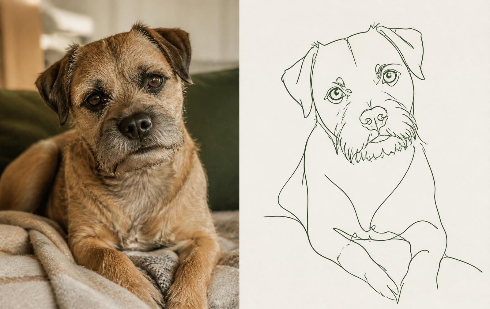 Original dog photo next to its line-art illustration